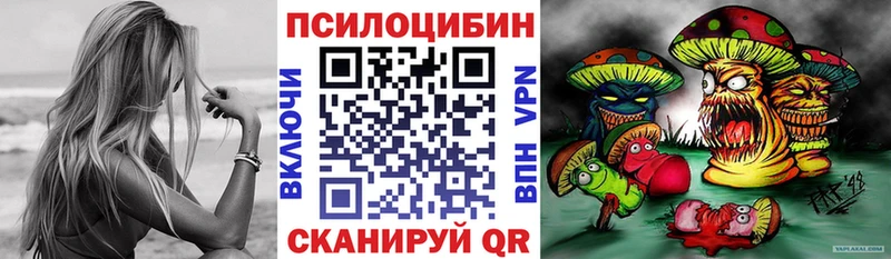 Псилоцибиновые грибы Cubensis  как найти закладки  blacksprut сайт  Суздаль 